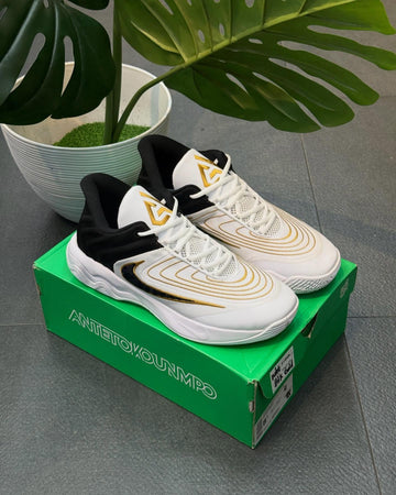 Nike Giannis Immortality 4 GS “Championship” (UA)