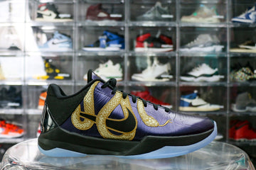 Nike Kobe 5 Protro Year of the Mamba Eggplant 2025