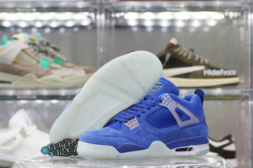 Air Jordan 4 Florida Gators PE (UA)