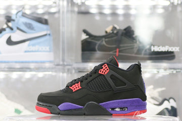 Air Jordan 4 Retro Raptor (UA)